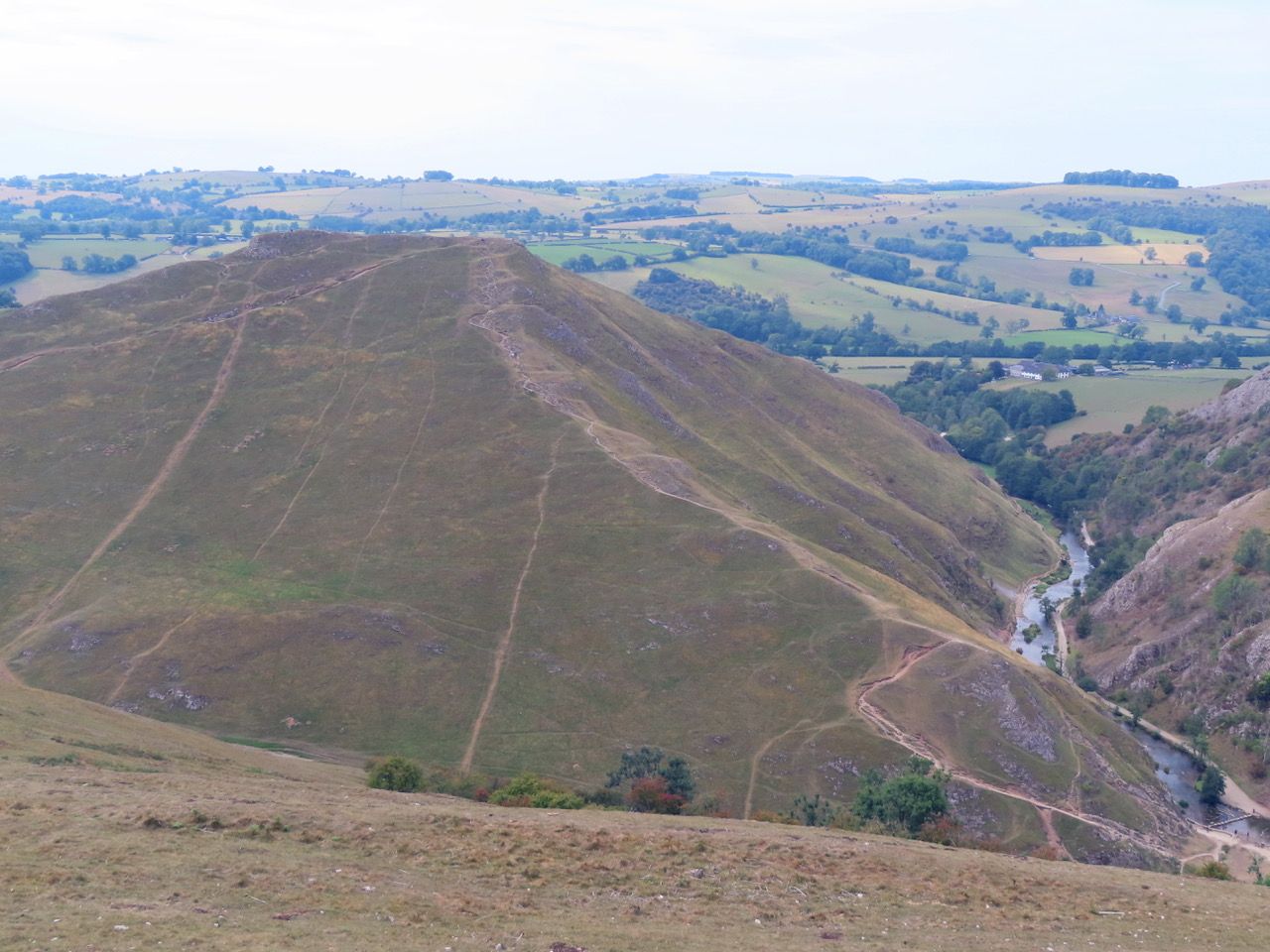 Looking down on the Dove